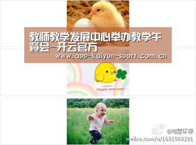 开云团队