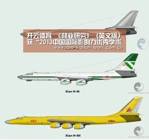 开云团队