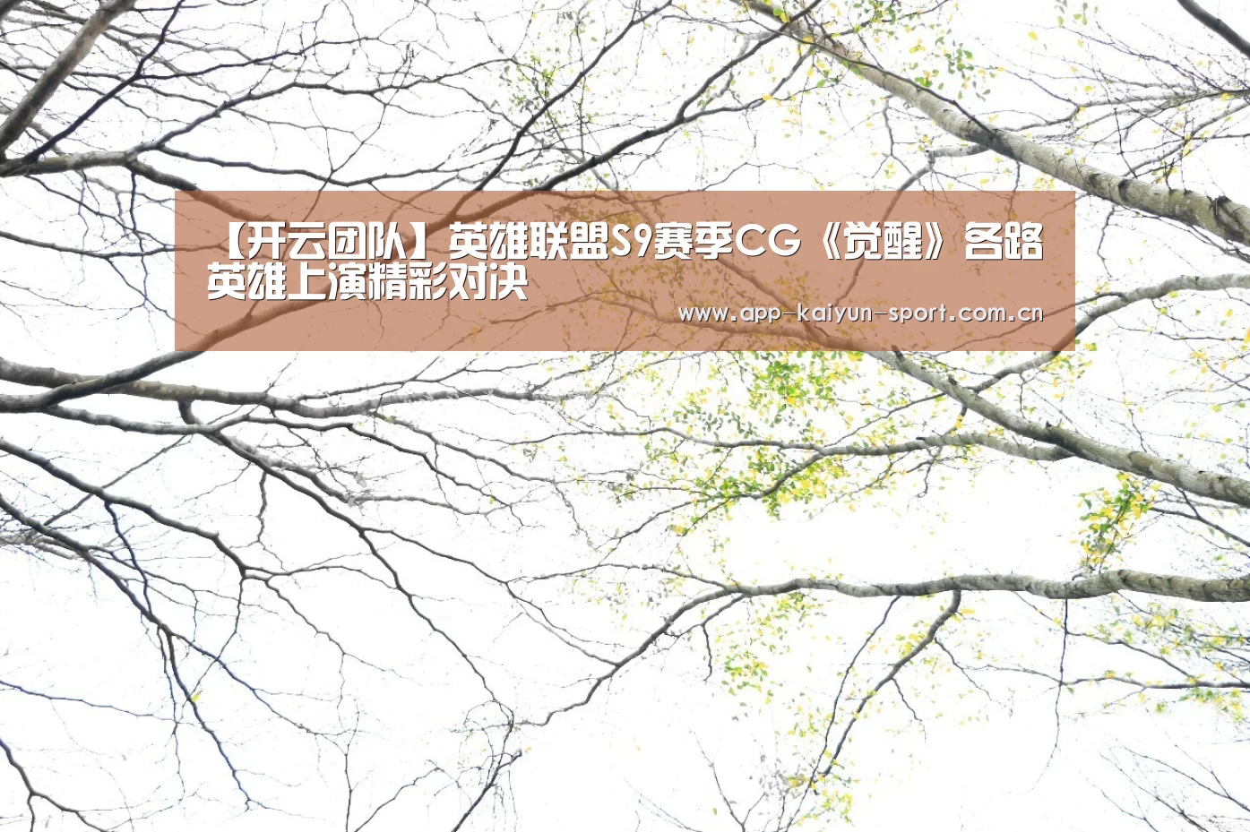 开云体育